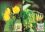 1983  Freimarken: Blumen