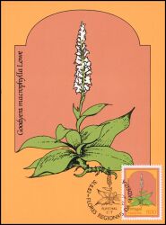 1982  Freimarken: Blumen