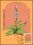 1982  Freimarken: Blumen