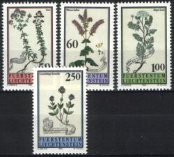 1993  Magerwiesenblumen