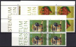 1980  Alte Alpenwirtschaftsgeräte