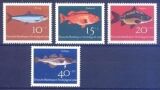 1964  Jugend: Fische
