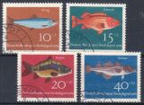 1964  Jugend: Fische