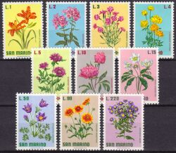 1971  Blumen