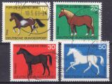 1969  Jugend: Pferde