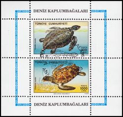 1989  Meeresschildkröten