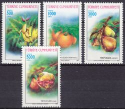 1993  Früchte