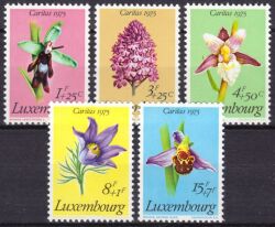 1975  Caritas: Geschützte Pflanzen