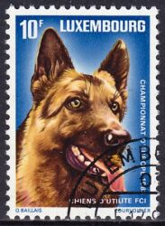 1983  Europameisterschaft für Gebrauchshunde