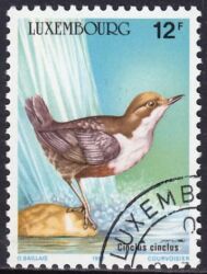 1987  Jahr der Umwelt: Wasseramsel