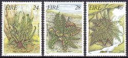 1986  Irische Flora: Farne