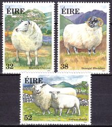 1991  Irische Schafe
