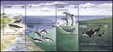 1997  Meeressäugetiere