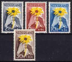 1949  Stiftung "Niederland hilft Indien"