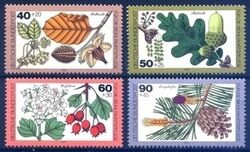 1979  Wohlfahrt: Blätter,Blüten und Früchte des Waldes