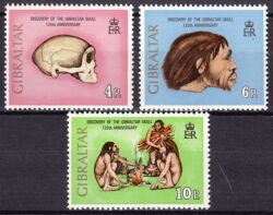 1973  Auffindung des "Gibraltar Schädels"