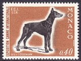 1970  Internationale Hundeausstellung
