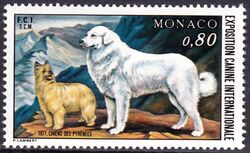 1977  Internationale Hundeausstellung