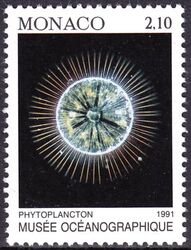 1991  Schutz des Meeres: Phytoplankton
