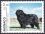 1993  Internationale Hundeausstellung