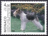 1996  Internationale Hundeausstellung