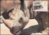 1984  100 Jahre Zoo von Lissabon