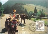 1989  90 - Herbstbräuche