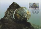1989  92 - Mineralien