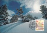 1993  120 - Weihnachten