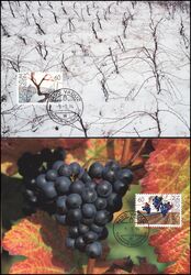 1994  126 - Die Weinrebe in den vier Jahreszeiten
