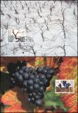 1994  126 - Die Weinrebe in den vier Jahreszeiten