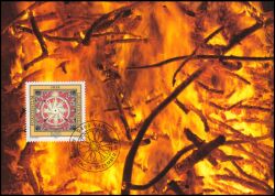 1994  129 - Die vier Elemente