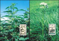 1995  135 - Heilpflanzen