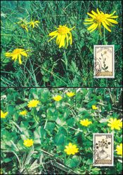 1995  135 - Heilpflanzen