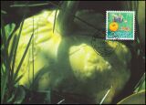 1997  147 - Europa: Sagen und Legenden
