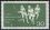 1976  Hockey-Weltmeisterschaft der Damen