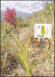 1984  Maximumkarten - Wohlfahrt: Orchideen