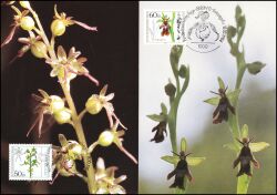 1984  Maximumkarten - Wohlfahrt: Orchideen