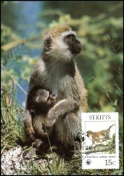 1986  Weltweiter Naturschutz WWF - Grüne Meerkatze (043)
