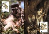 1986  Weltweiter Naturschutz WWF - Grüne Meerkatze (043)