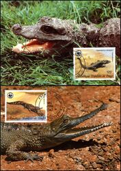 1987  Weltweiter Naturschutz WWF - Krokodile des Kongos (045)