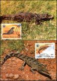 1987  Weltweiter Naturschutz WWF - Krokodile des Kongos...