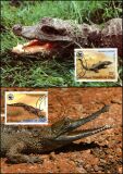 1987  Weltweiter Naturschutz WWF - Krokodile des Kongos (045)