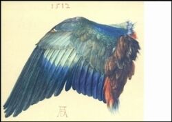1971  Sonderwertstempel - Albrecht Dürer