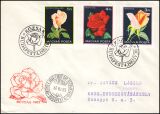 1982  Rosen