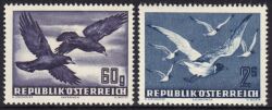 1950  Vögel