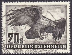 1952  Vgel: Steinadler