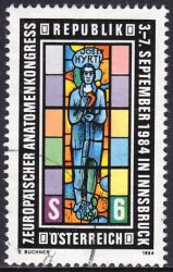 1984  Europäischer Anatomenkongreß