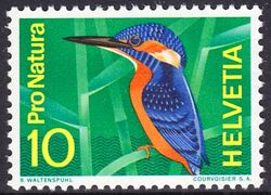 1966  Naturschutz: Eisvogel