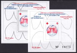 1996  Rotes Kreuz - Block 21